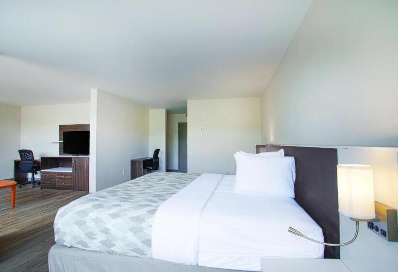 Люкс Кровать Кинг, Americas Best Value Inn Winston Salem, Nc