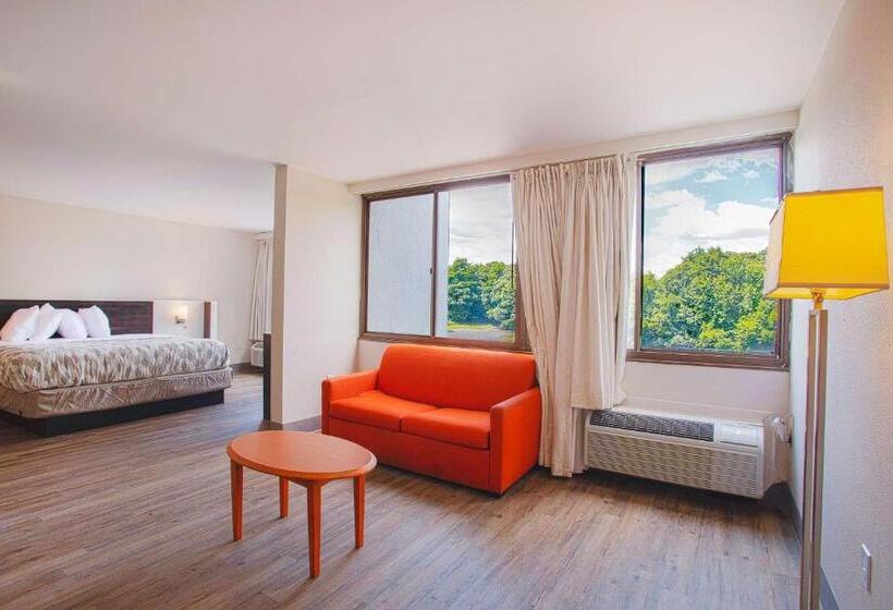 带大床的套房, Americas Best Value Inn Winston Salem, Nc