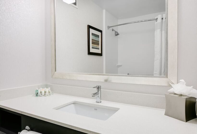 اتاق استاندارد, Holiday Inn Hotel & Suites Overland Park West, An Ihg