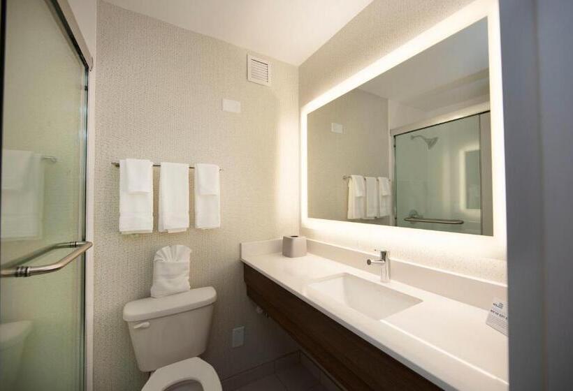 Standard Szoba King Size Bed, Holiday Inn Express Athens   University Area, An Ihg