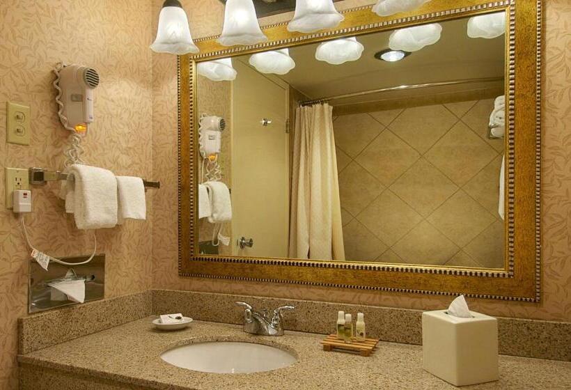 Номер Стандарт Адаптированный для Инвалидов, Red Lion Hotel Kelso