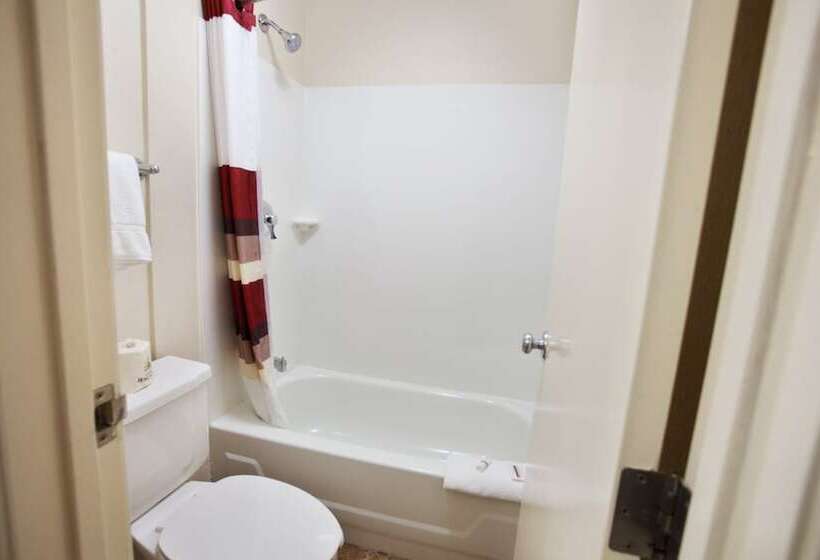 Deluxe Zimmer, Red Roof Inn Plus+ Nashville Fairgrounds