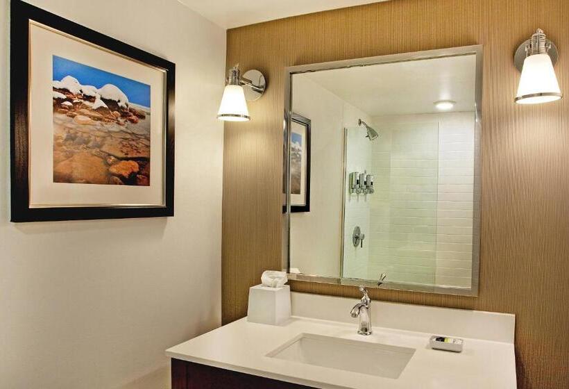 Стандартный Номер Кровать Кинг, Four Points By Sheraton Saginaw