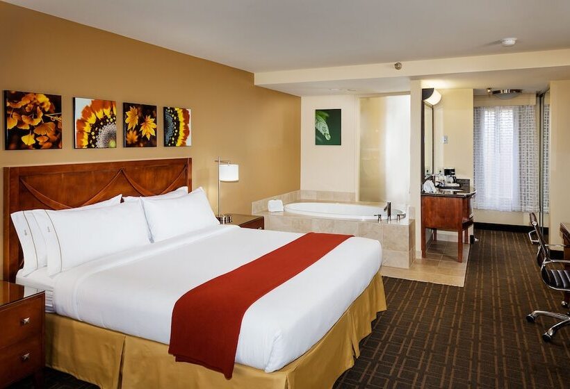스탠다드 룸 더블 침대, Holiday Inn Express Simi Valley, An Ihg