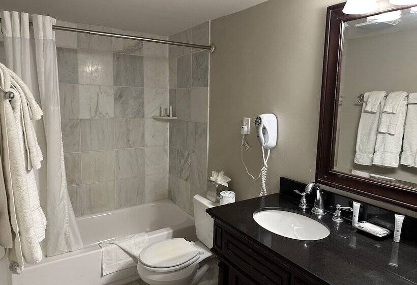 디럭스 룸, Inn On St. Peter, A French Quarter Guest Houses Property