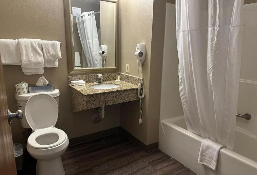 带大床的套房, Super 8 By Wyndham Milwaukee Airport