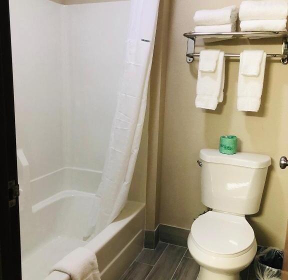 Suite Deluxe Llit King, Baymont By Wyndham Joliet
