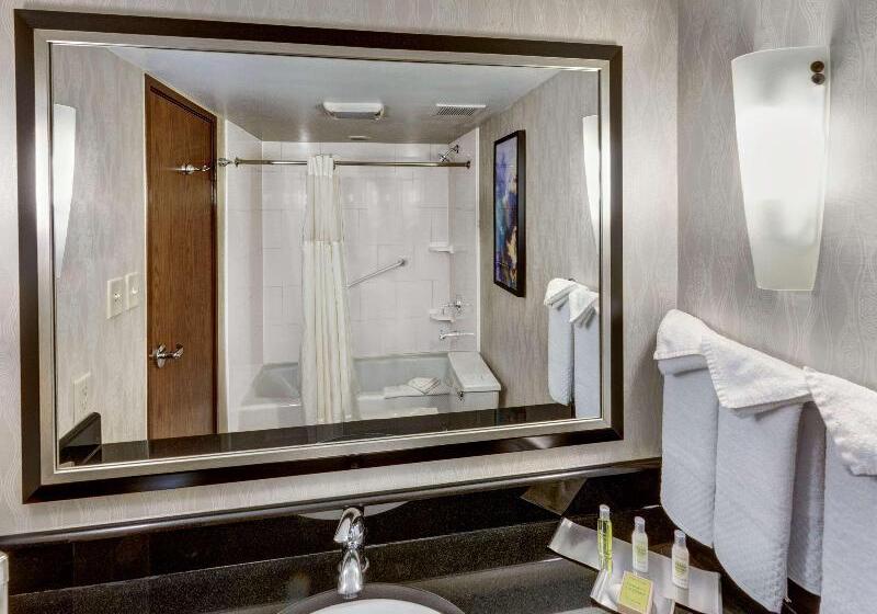 اتاق استاندارد با تخت بزرگ, Doubletree By Hilton Hotel Wichita Airport