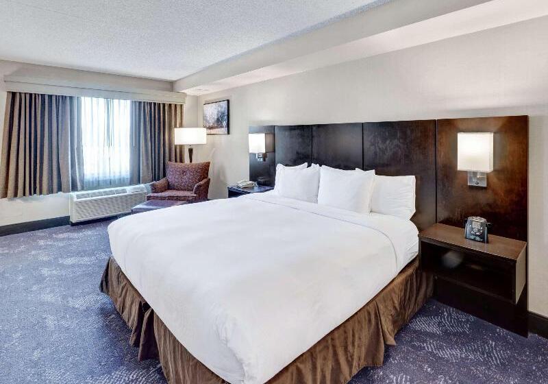 اتاق استاندارد با تخت بزرگ, Doubletree By Hilton Hotel Wichita Airport