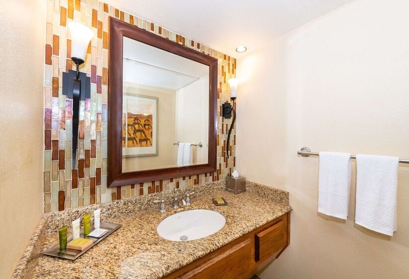 Suíte para Deficientes Físicos, Hilton Phoenix Resort At The Peak
