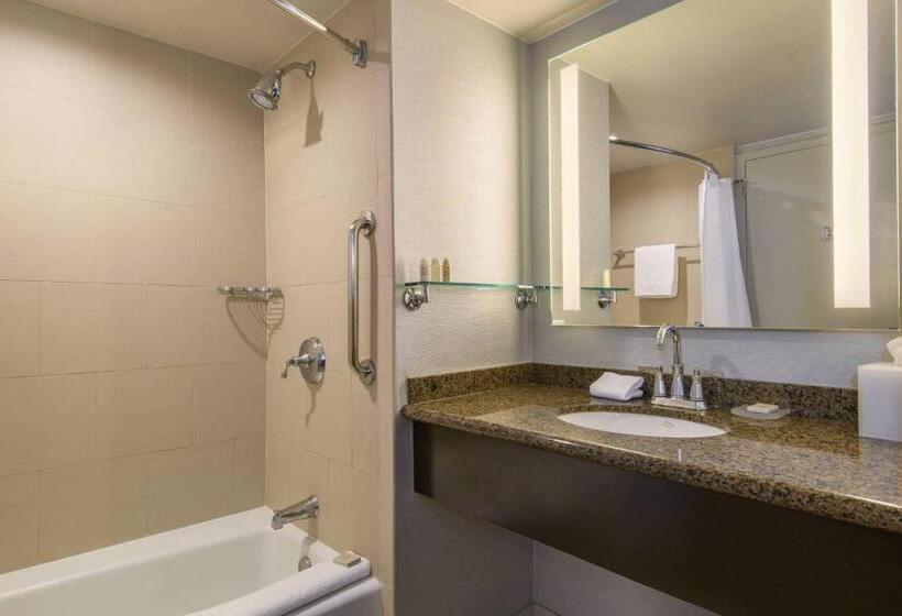اتاق استاندارد با چشم‌انداز استخر, Renaissance Palm Springs