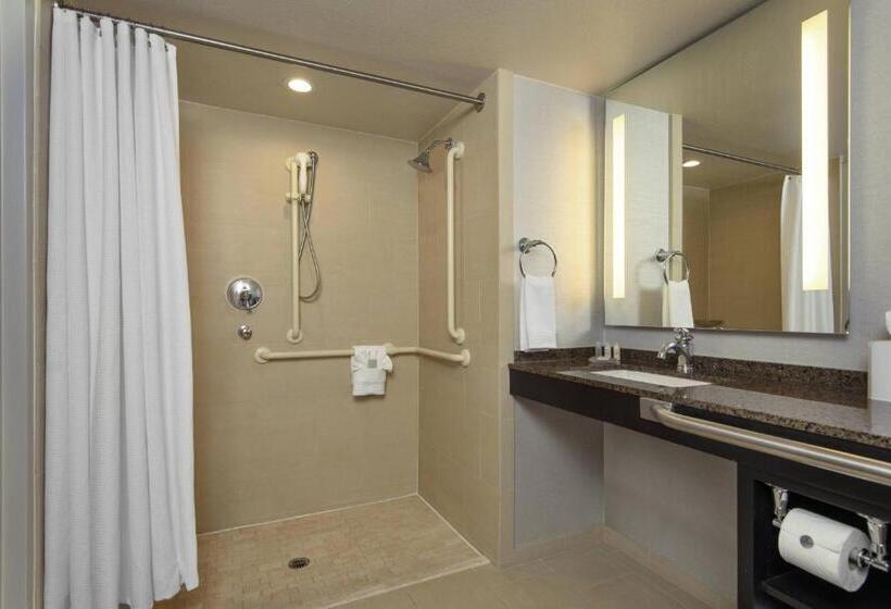اتاق استاندارد برای معلولان, Renaissance Palm Springs