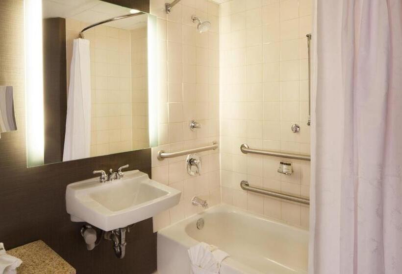 带大床的标准间, Sheraton Bucks County Langhorne