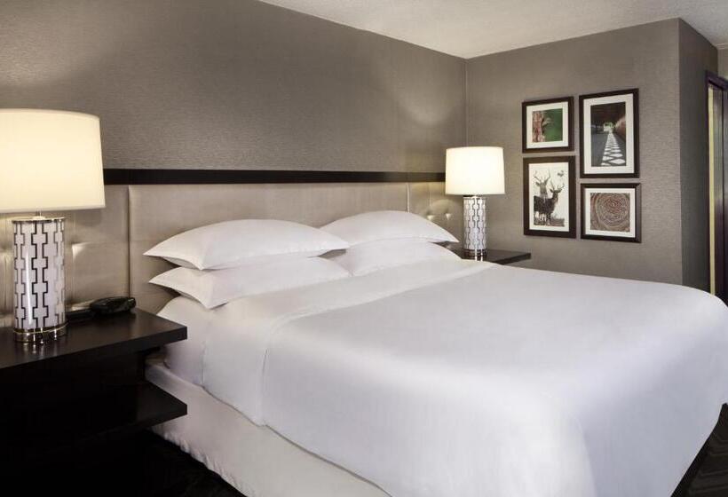 带大床的标准间, Sheraton Bucks County Langhorne