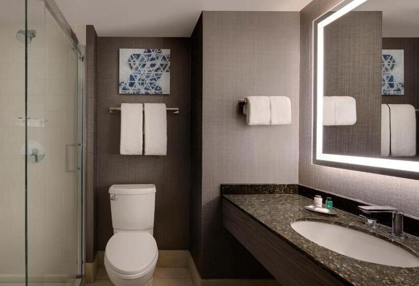 اتاق استاندارد با تخت بزرگ, Sheraton Philadelphia Downtown