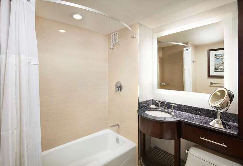 스탠다드 룸 킹사이즈 침대, Washington Hilton