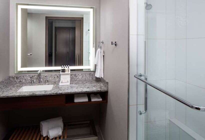 스위트 킹사이즈 침대, Washington Hilton