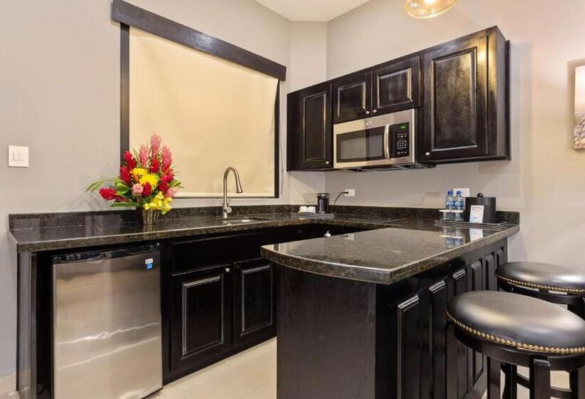 سوئیت جونیور با تخت بزرگ, Best Western Plus Belize Biltmore Plaza