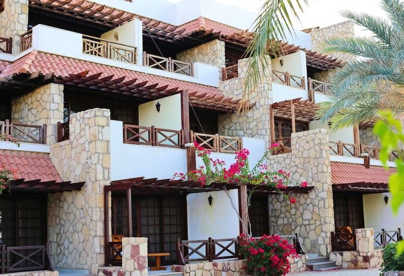 اتاق لوکس با چشم‌انداز دریا, Steigenberger Hotel & Nelson Village, Taba