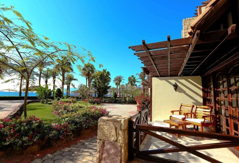 اتاق لوکس خانوادگی, Steigenberger Hotel & Nelson Village, Taba