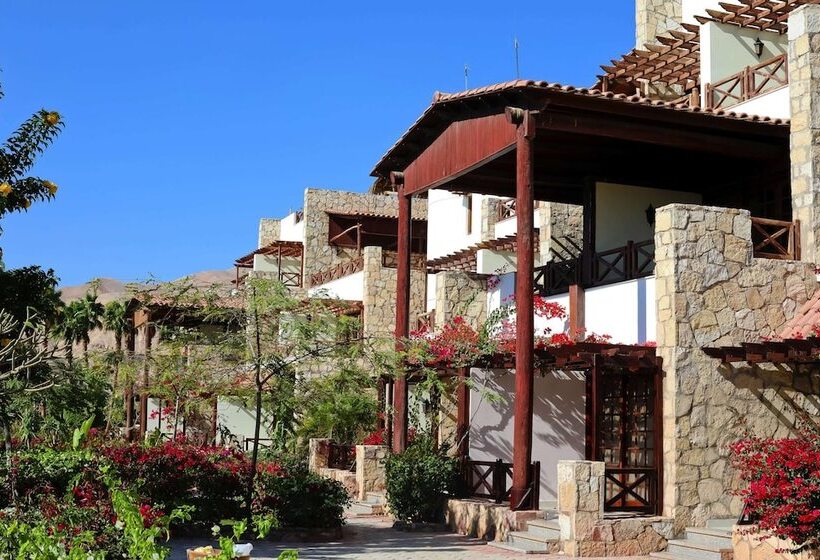 سوییت اجرایی, Steigenberger Hotel & Nelson Village, Taba