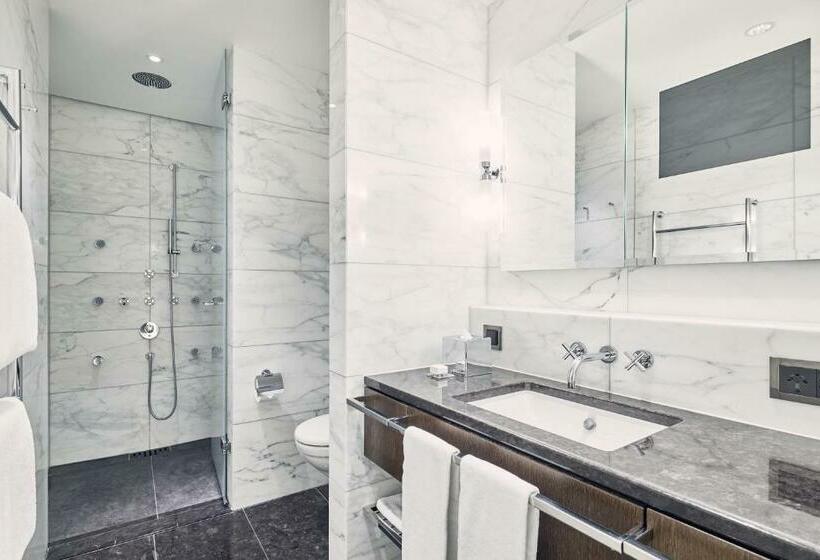 اتاق سوپریور یک تخته, The Dolder Grand   City And Spa Resort Zurich