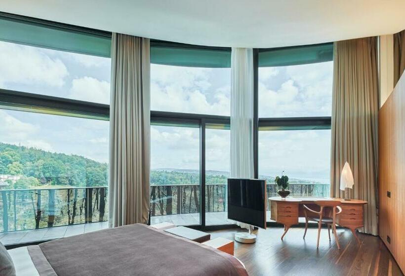 سوییت, The Dolder Grand   City And Spa Resort Zurich