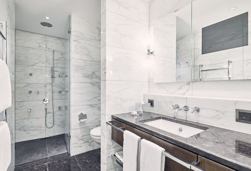 اتاق سوپریور یک تخته, The Dolder Grand   City And Spa Resort Zurich