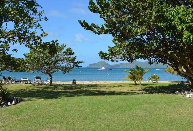استودیو استاندارد با چشم‌انداز باغ, Oualie Beach Resort