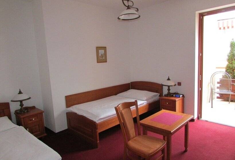 Номер Стандарт, Pegas Brno