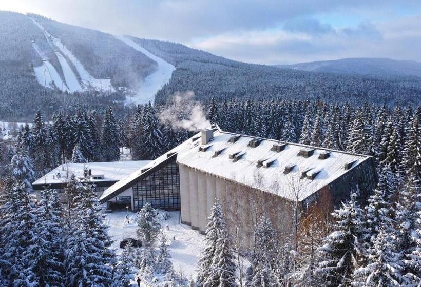 Номер Стандарт, Wellness Hotel Svornost
