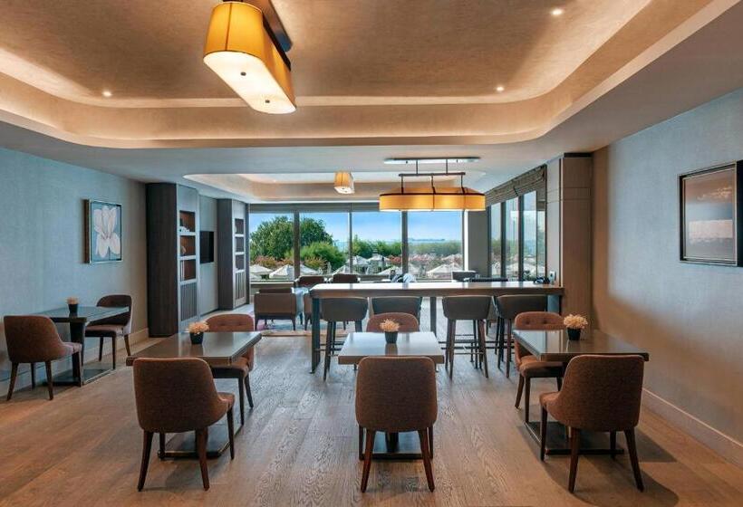 اتاق اجرایی با تخت بزرگ, Renaissance Polat Istanbul