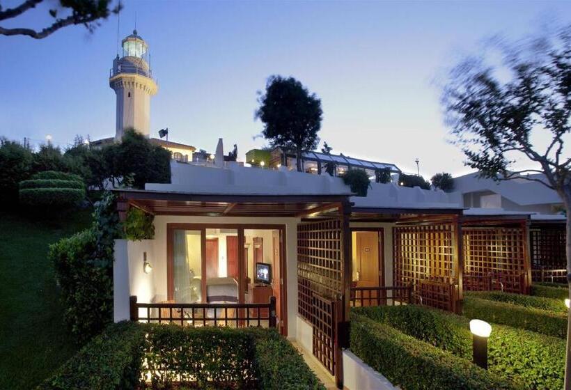 اتاق استاندارد با تخت بزرگ, Renaissance Polat Istanbul