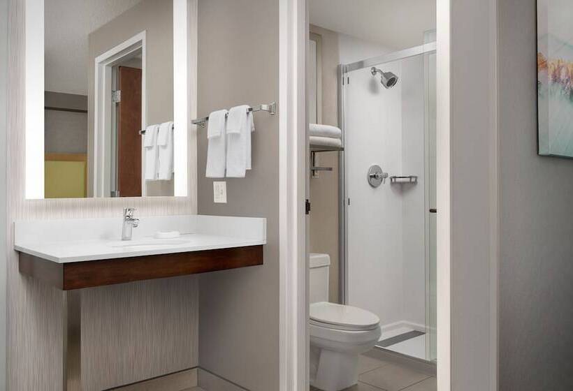 套房, Springhill Suites By Marriott Boise Parkcenter