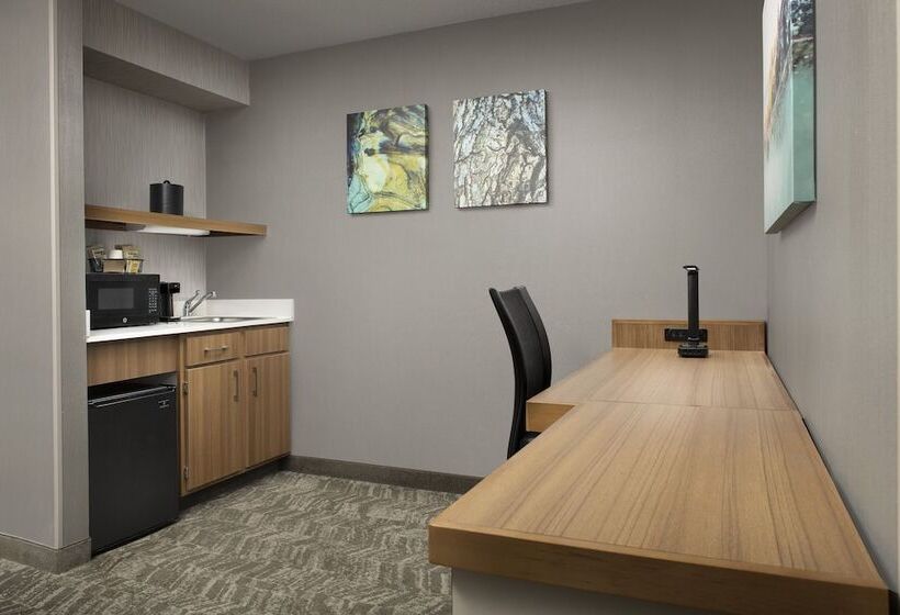 套房, Springhill Suites By Marriott Boise Parkcenter