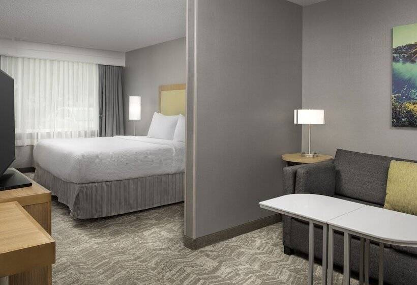 套房, Springhill Suites By Marriott Boise Parkcenter