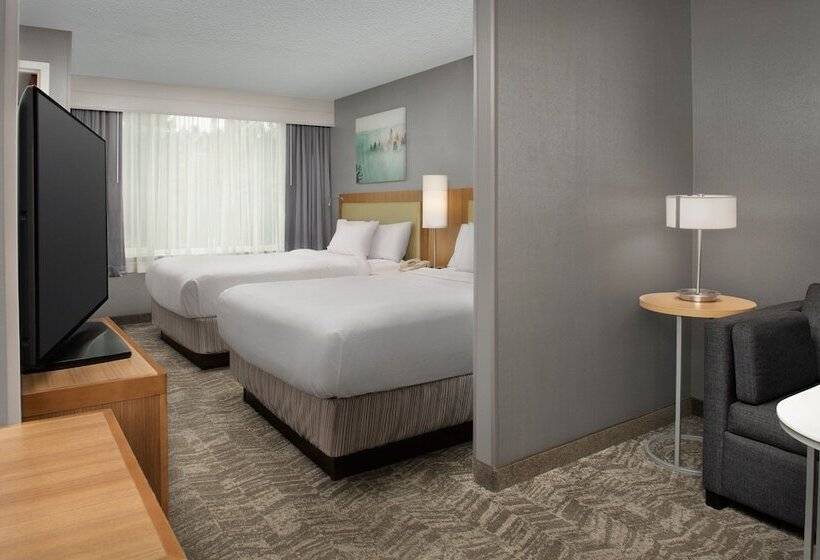スイート, Springhill Suites By Marriott Boise Parkcenter