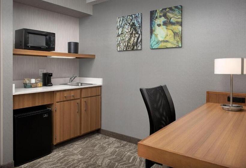 带大床的套房, Springhill Suites By Marriott Boise Parkcenter