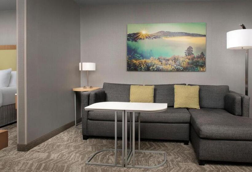 スイート, Springhill Suites By Marriott Boise Parkcenter