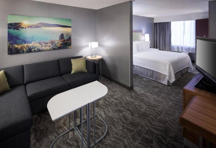 适合残疾人士使用的套间, Springhill Suites By Marriott Boise Parkcenter