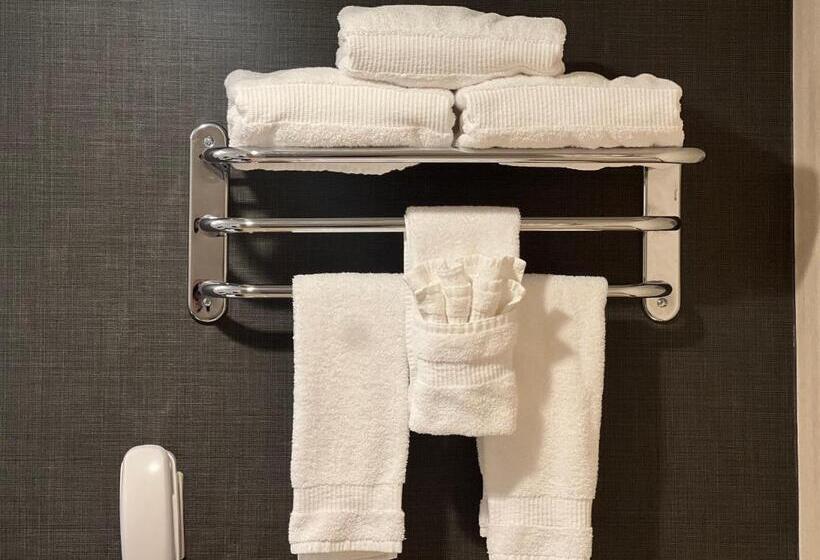 Номер Deluxe, Inn At Great Neck