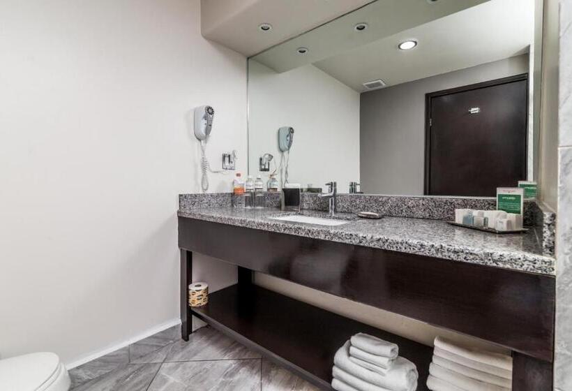 غرفة قياسية مطلّة علي الحديقة, Pueblo Amigo Hotel Plaza Y Casino