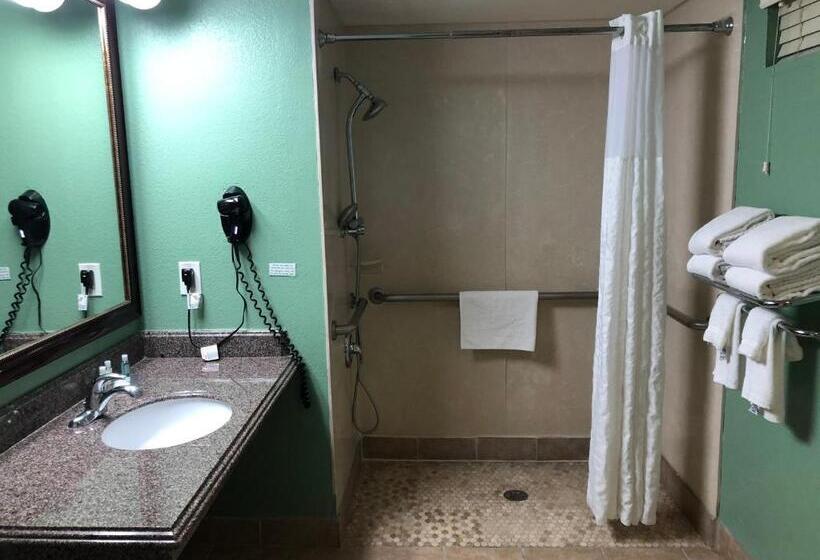 Номер Стандарт Адаптированный для Инвалидов, Quality Inn Hemet  San Jacinto