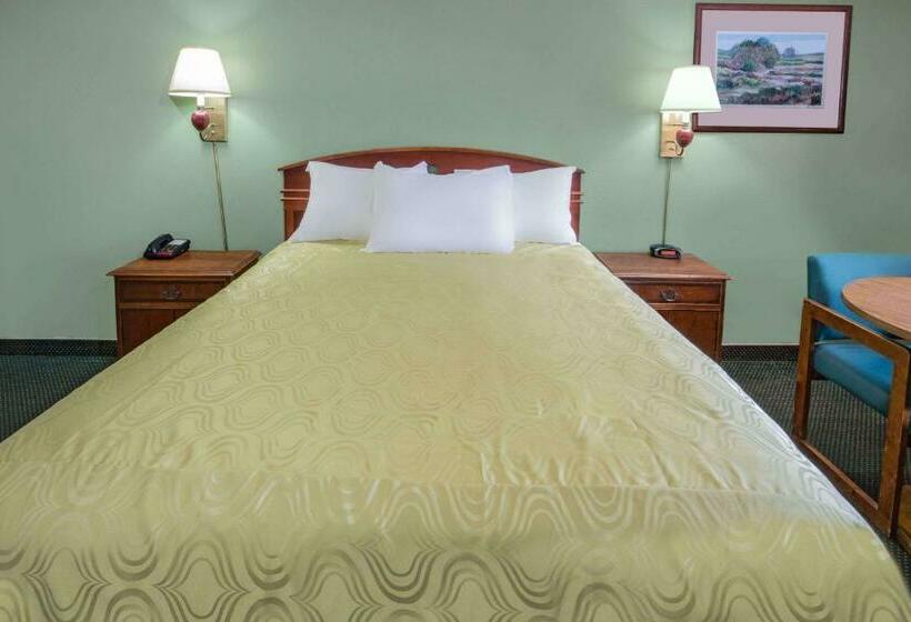 스탠다드 룸 킹사이즈 침대, Days Inn By Wyndham Ontario Airport