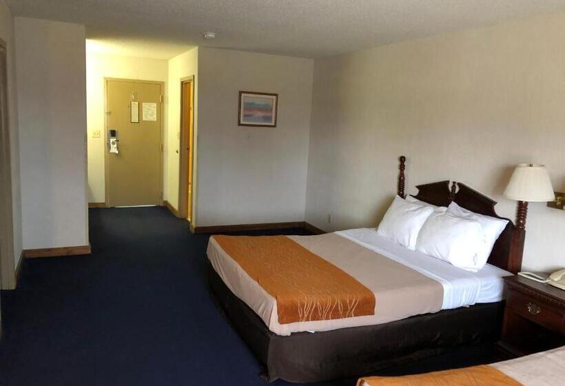 Семейный Номер, Denison Inn & Suites