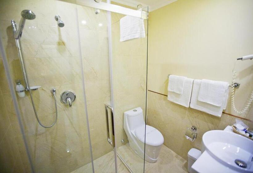 高级大房间, Gold Hotel Budapest