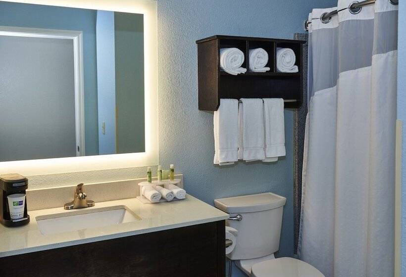 Люкс, Holiday Inn Express & Suites Birmingham South   Pelham, An Ihg