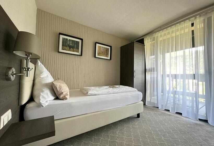 스탠다드 싱글 룸, Parkhotel Luise Bad Herrenalb