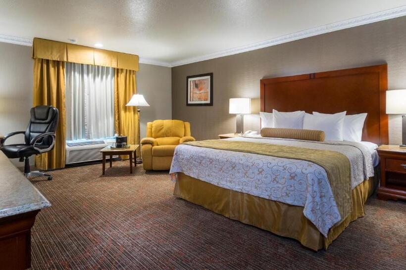 이그제큐티브 룸 킹사이즈 침대, Best Western Plus Newport Mesa Inn