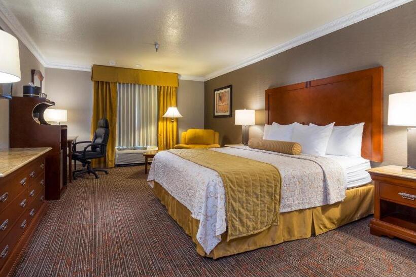 스탠다드 룸 킹사이즈 침대, Best Western Plus Newport Mesa Inn